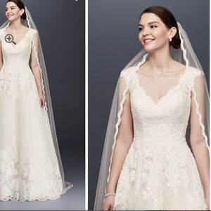 Single Tier Wedding Cathedral Veil with Lace